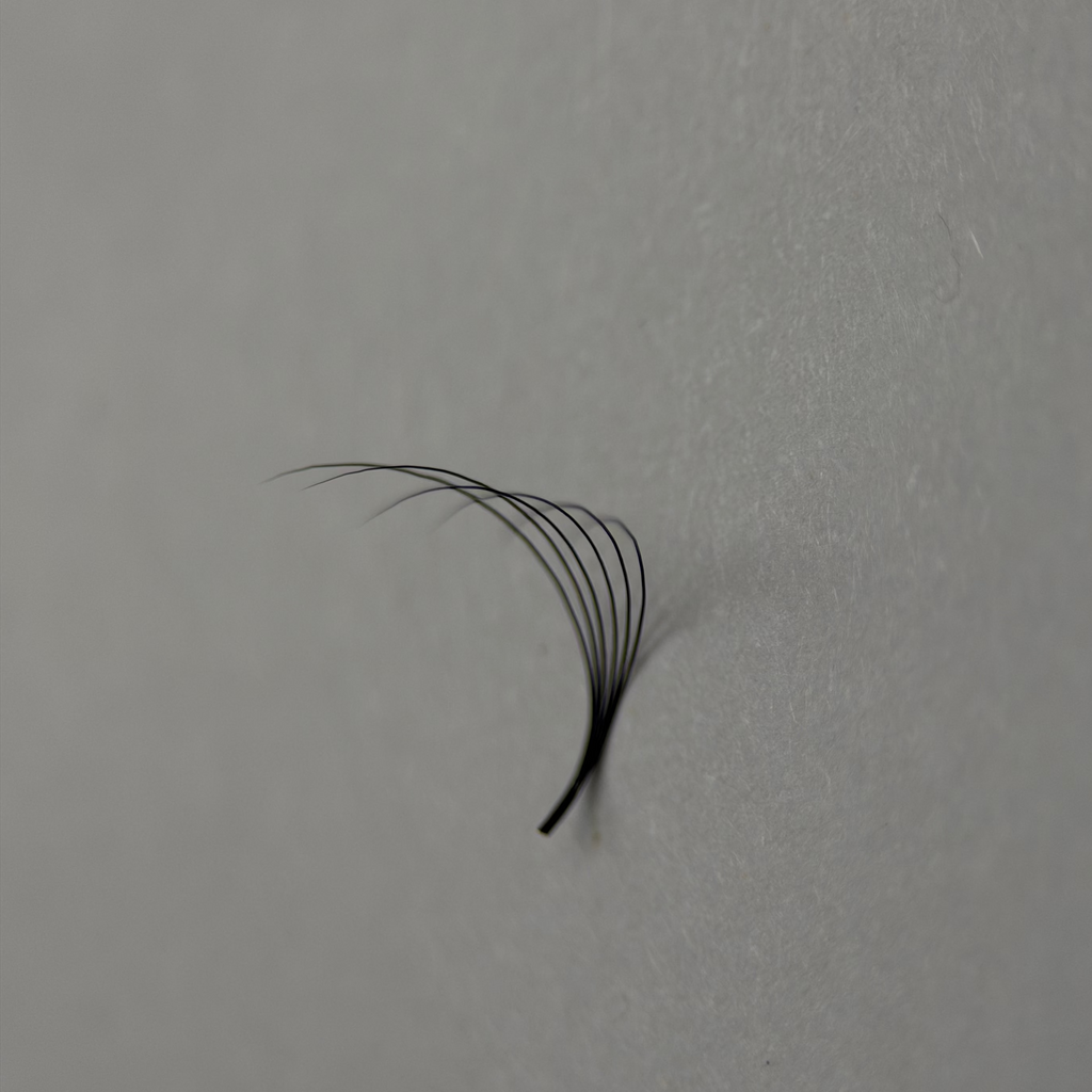 6D