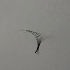 6D