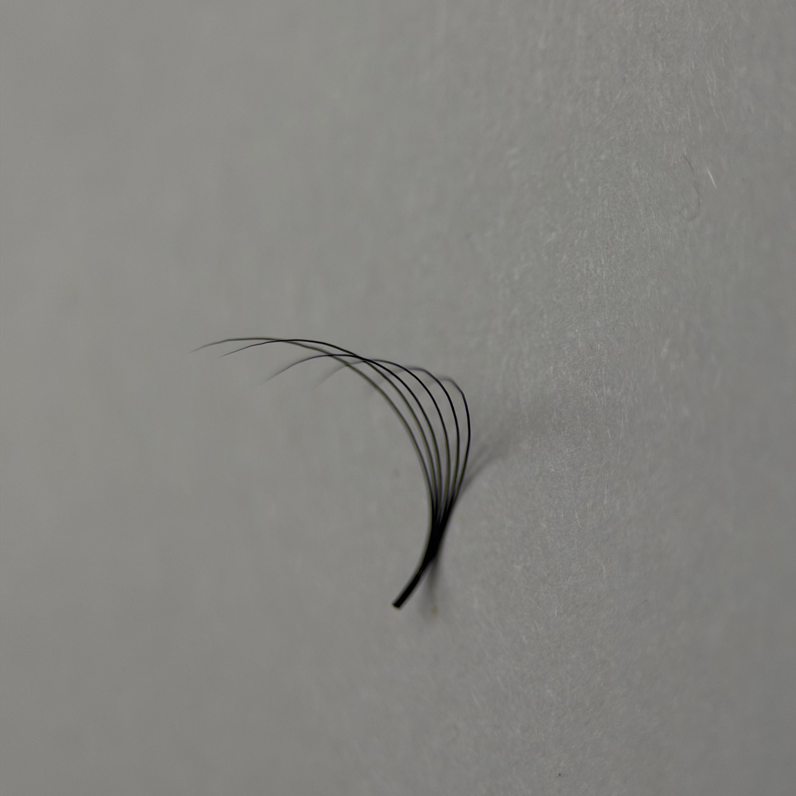 6D