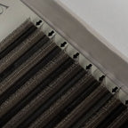 Volume Brésilien W - Chocolat